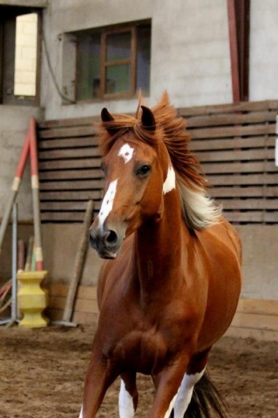 Photo de profil de spirit3001