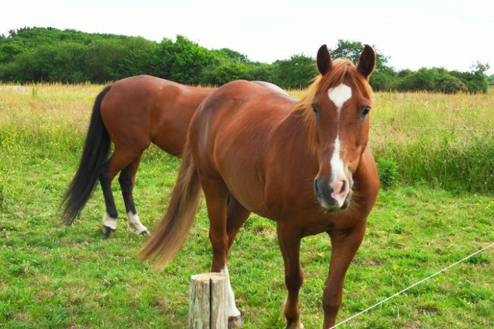 Photo de profil de christelleg2