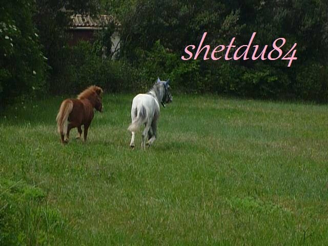 Photo de profil de shetdu84