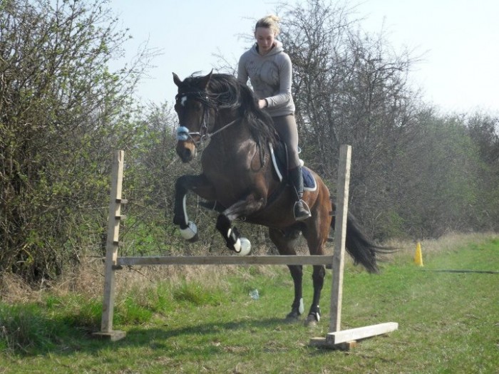 Photo de profil de ledalex