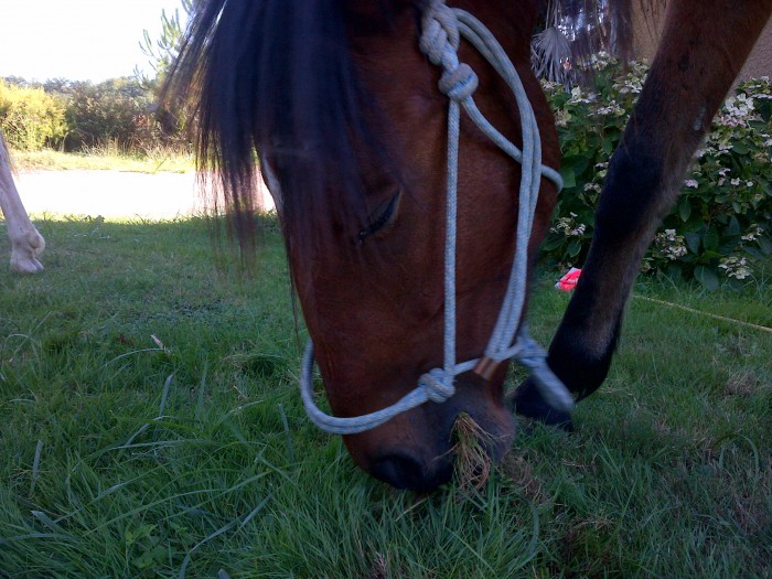 Photo de profil de about