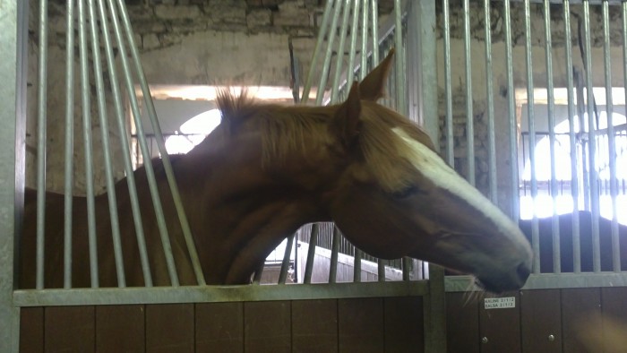 Photo de profil de mimie55