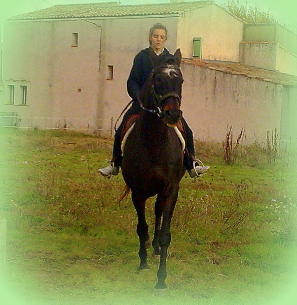 Photo de profil de naanou04