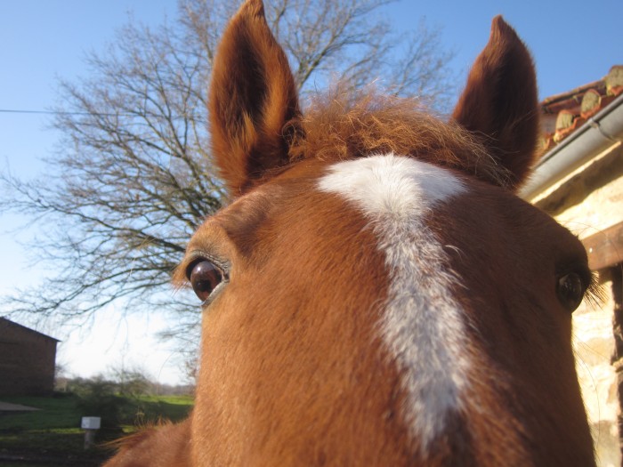 Photo de profil de beloved