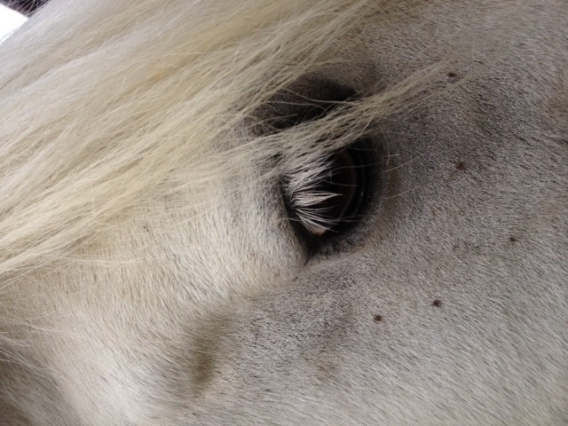 Photo de profil de joycemro