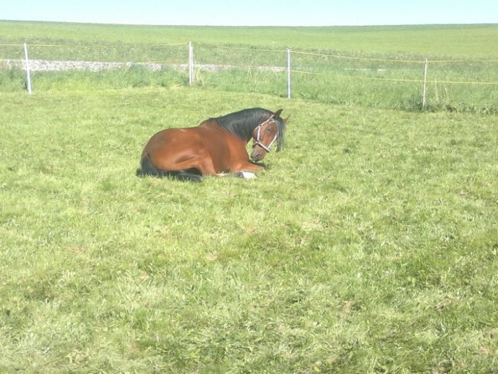 Photo de profil de coryan