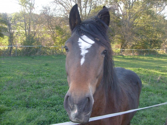 Photo de profil de missnanou