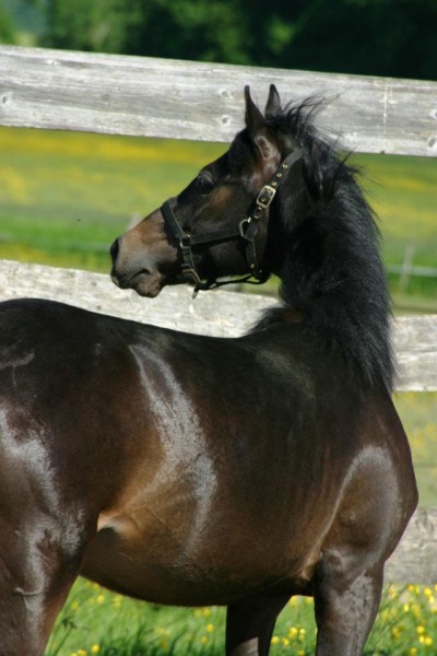 Photo de profil de thalie88