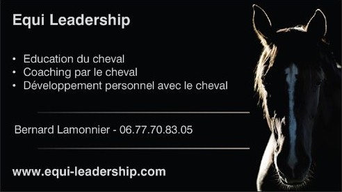 Photo de profil de equileadership