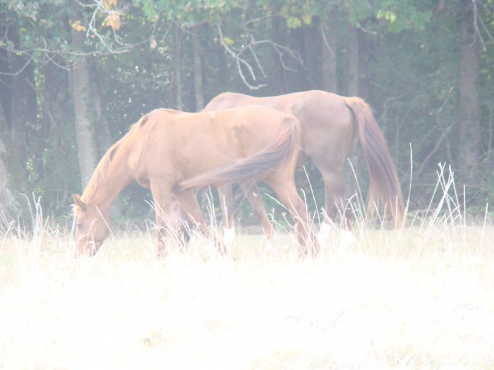 Photo de profil de kmariie
