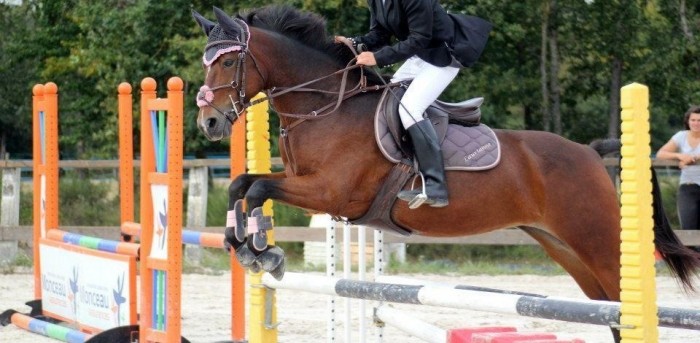 Photo de profil de boubouille37330