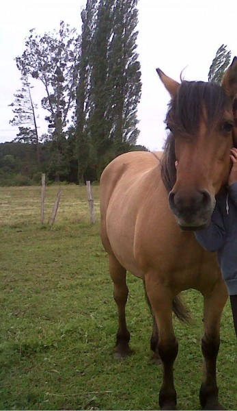 Photo de profil de claraetoile