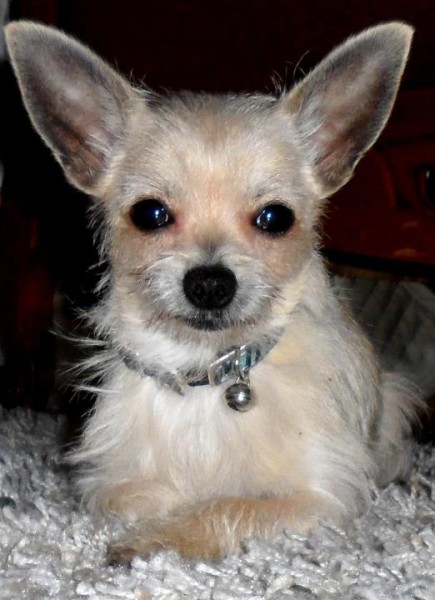 Photo de profil de lilimelie