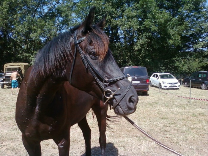 Photo de profil de moichicho