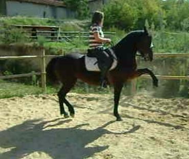 Photo de profil de clairemoona