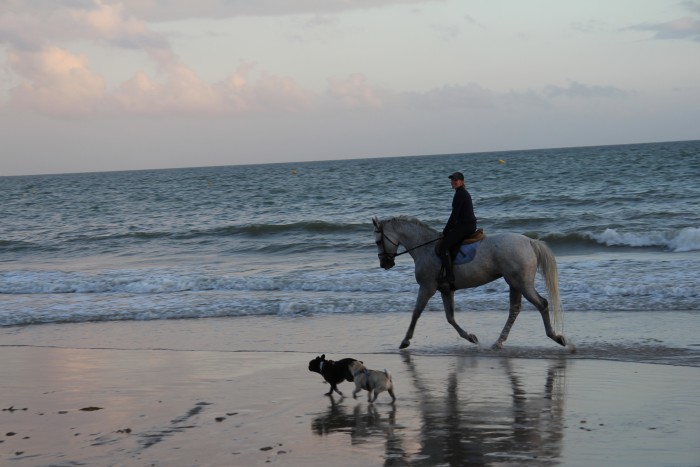 Photo de profil de estelle77144