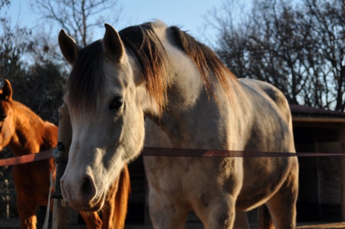 Photo de profil de johanna84