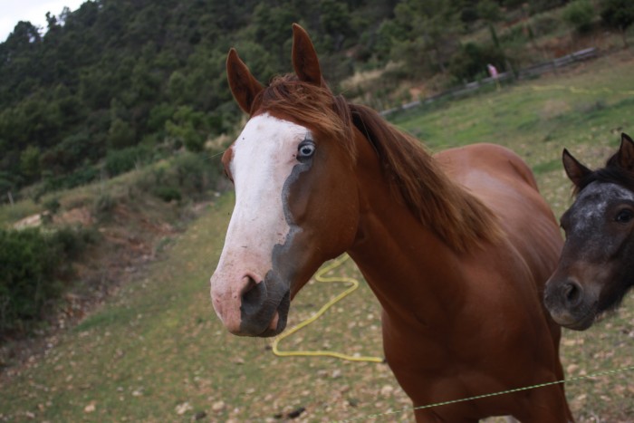Photo de profil de tangaetmilou