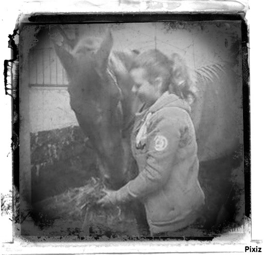 Photo de profil de pandableu