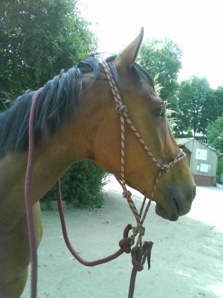 Photo de profil de kaboolvalley