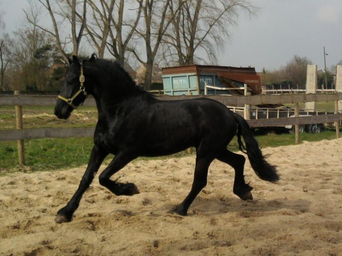 Photo de profil de elerox03