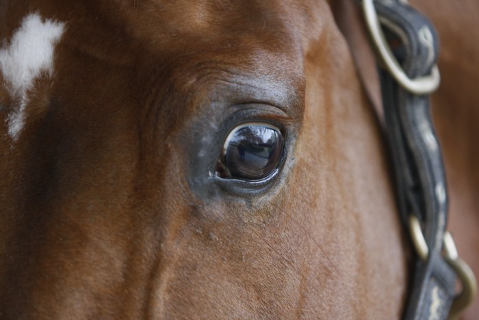 Photo de profil de agathe1312