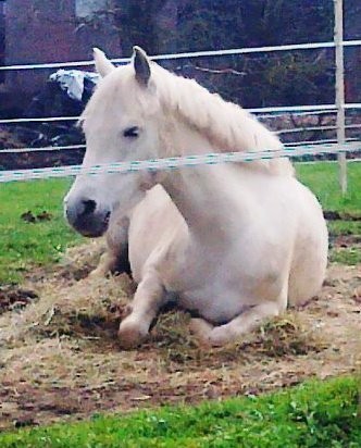 Photo de profil de louna16