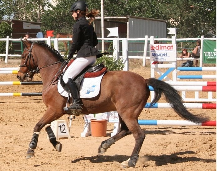 Photo de profil de mozart34