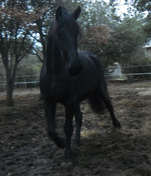 Photo de profil de tinou84