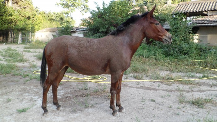 Photo de profil de dudulette