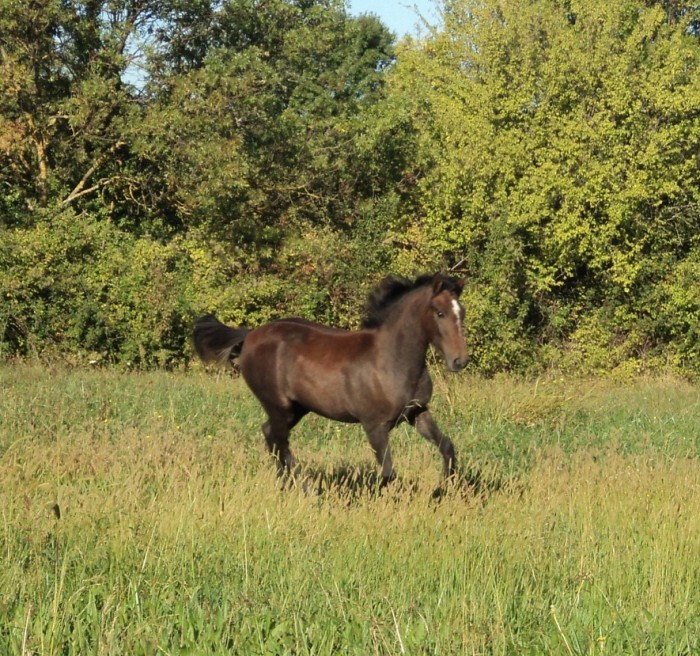 Photo de profil de lincruste