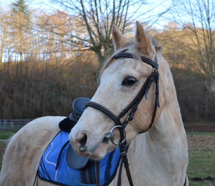 Photo de profil de lallaetun