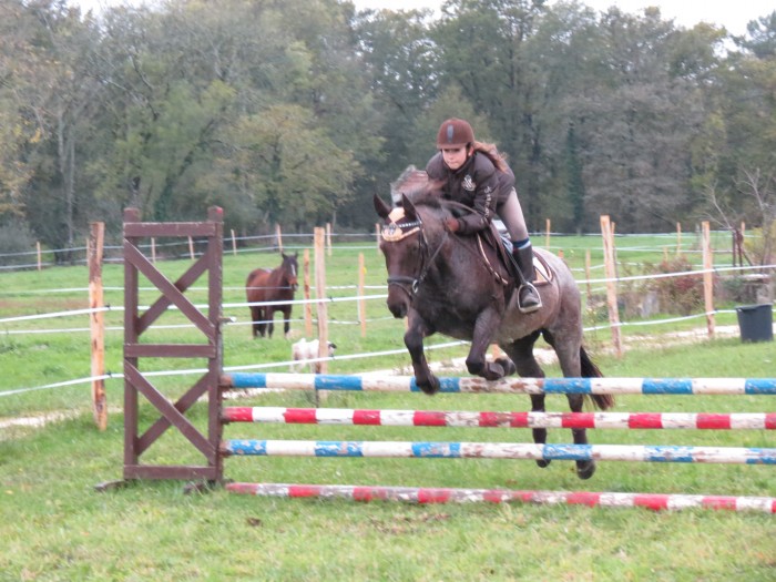 Photo de profil de pirou83