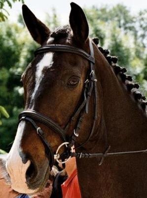 Photo de profil de celine10130