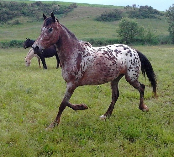 Photo de profil de claraborel