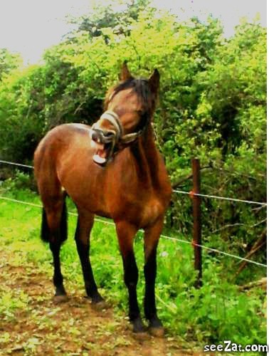 Photo de profil de equiipassion59