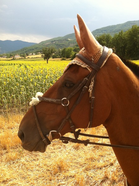 Photo de profil de niinii05