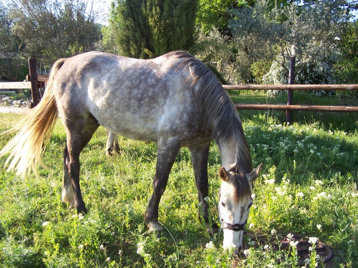Photo de profil de our8329