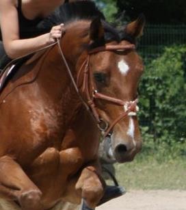Photo de profil de laeti_1998