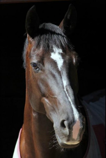 Photo de profil de camilletosca