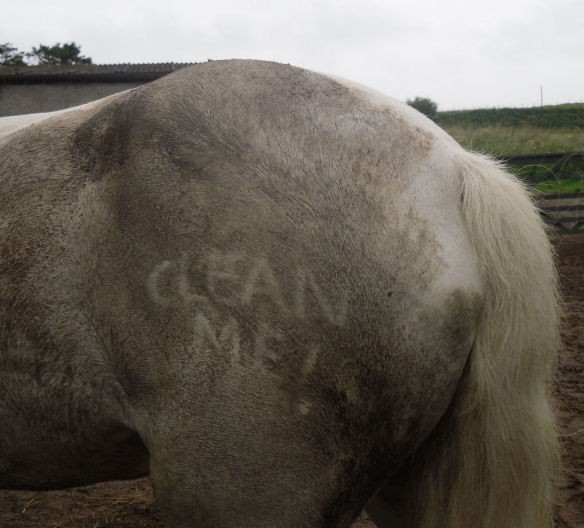 Photo de profil de jroche