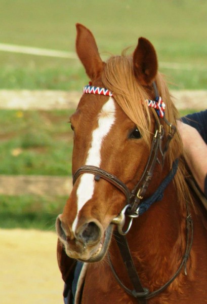 Photo de profil de laure1322