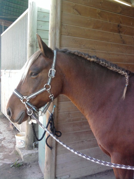 Photo de profil de sandramata