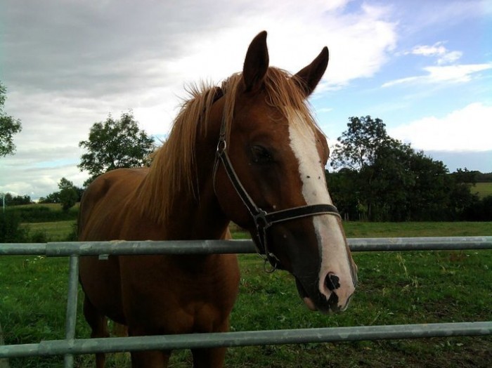 Photo de profil de tizou