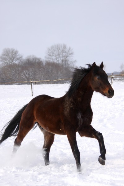 Photo de profil de clem0907