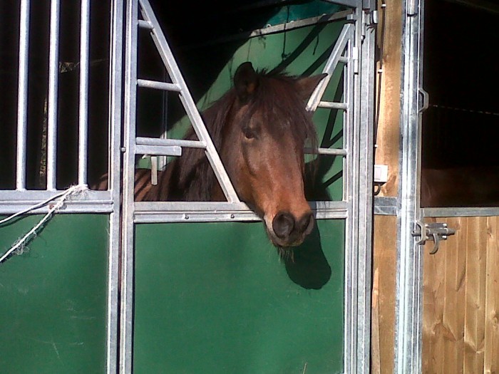 Photo de profil de farceur06480
