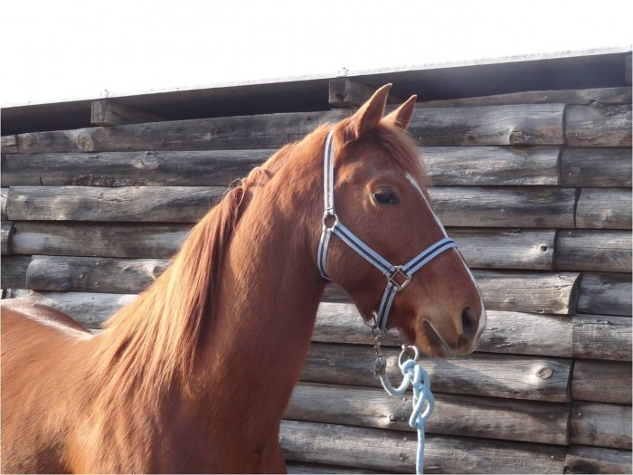 Photo de profil de soleanie28