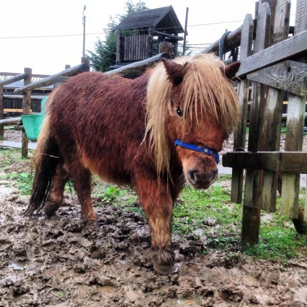 Photo de profil de reginecab