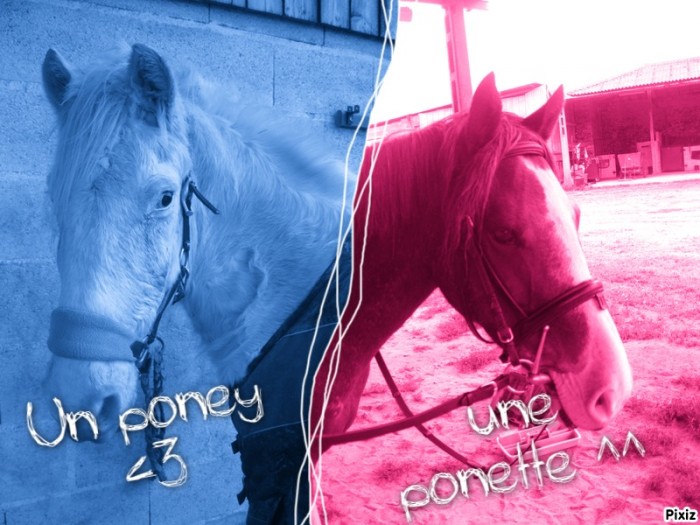 Photo de profil de xpomme2000x