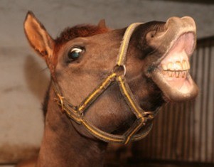 Photo de profil de fred.b